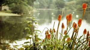 Environment and Water